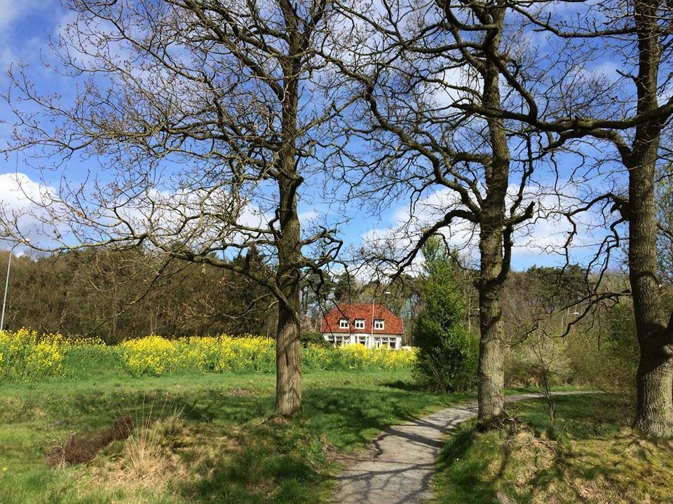 B&B De Zulthe Roden Exterior photo